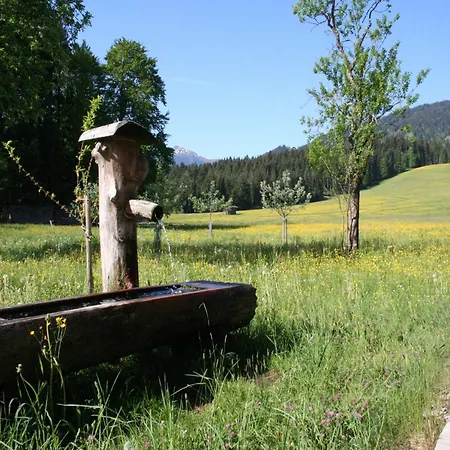 In Hopfgarten Near Skiwelt 펜션 호프가르텐 임 브릭젠탈