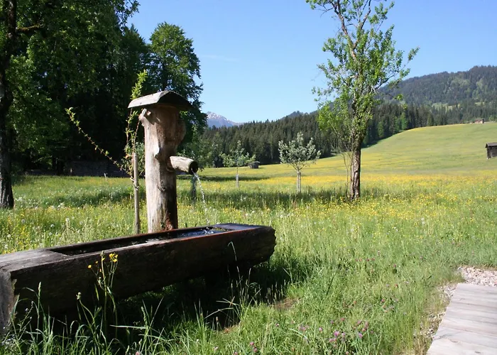 In Hopfgarten Near Skiwelt Hébergement de vacances Hopfgarten im Brixental