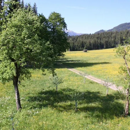 Holiday home Farmhouse In Hopfgarten In Brixental With Garden