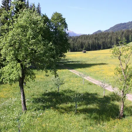 In Hopfgarten Near Skiwelt 度假居